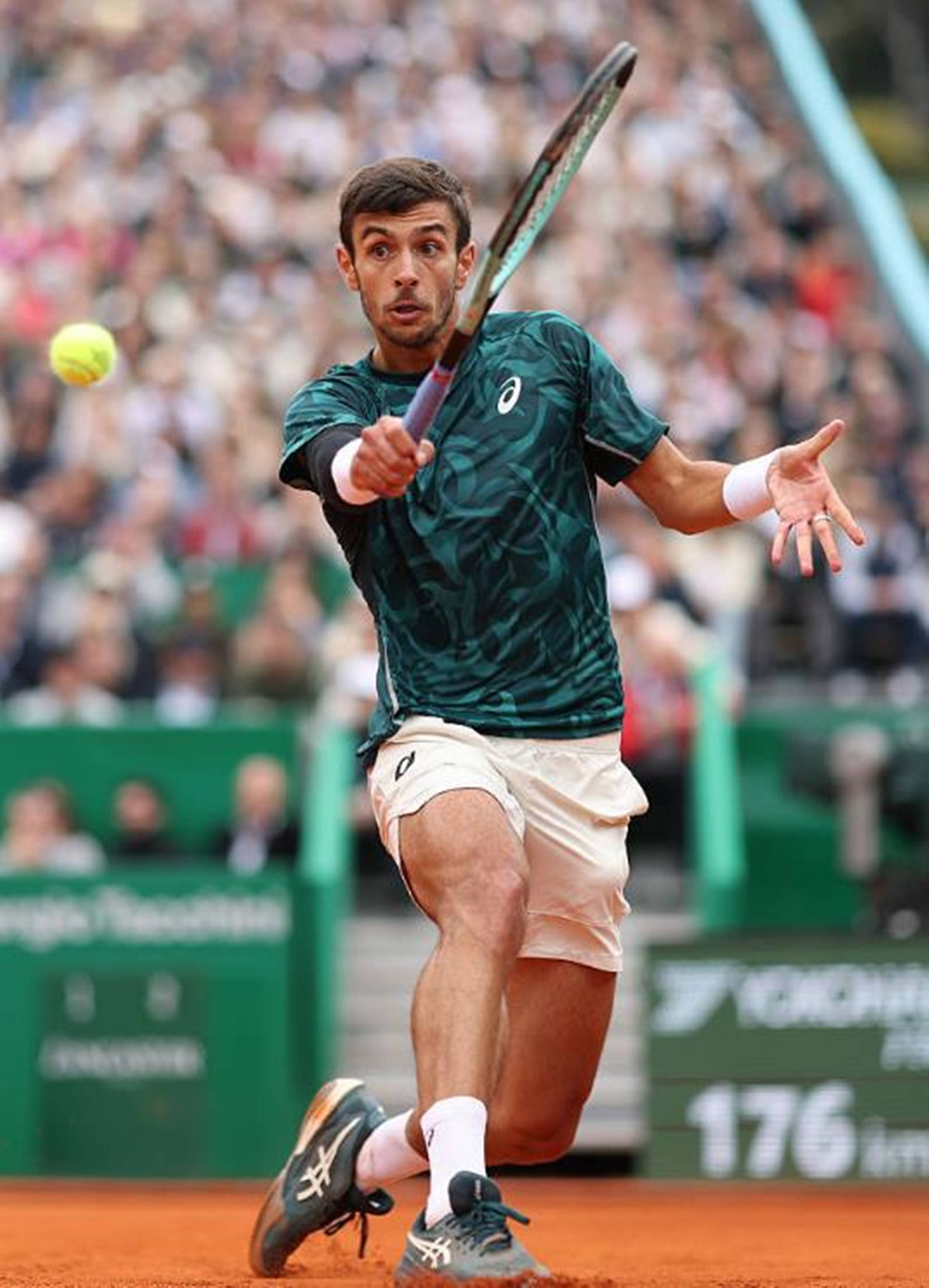 正在追求梦 正在追求梦