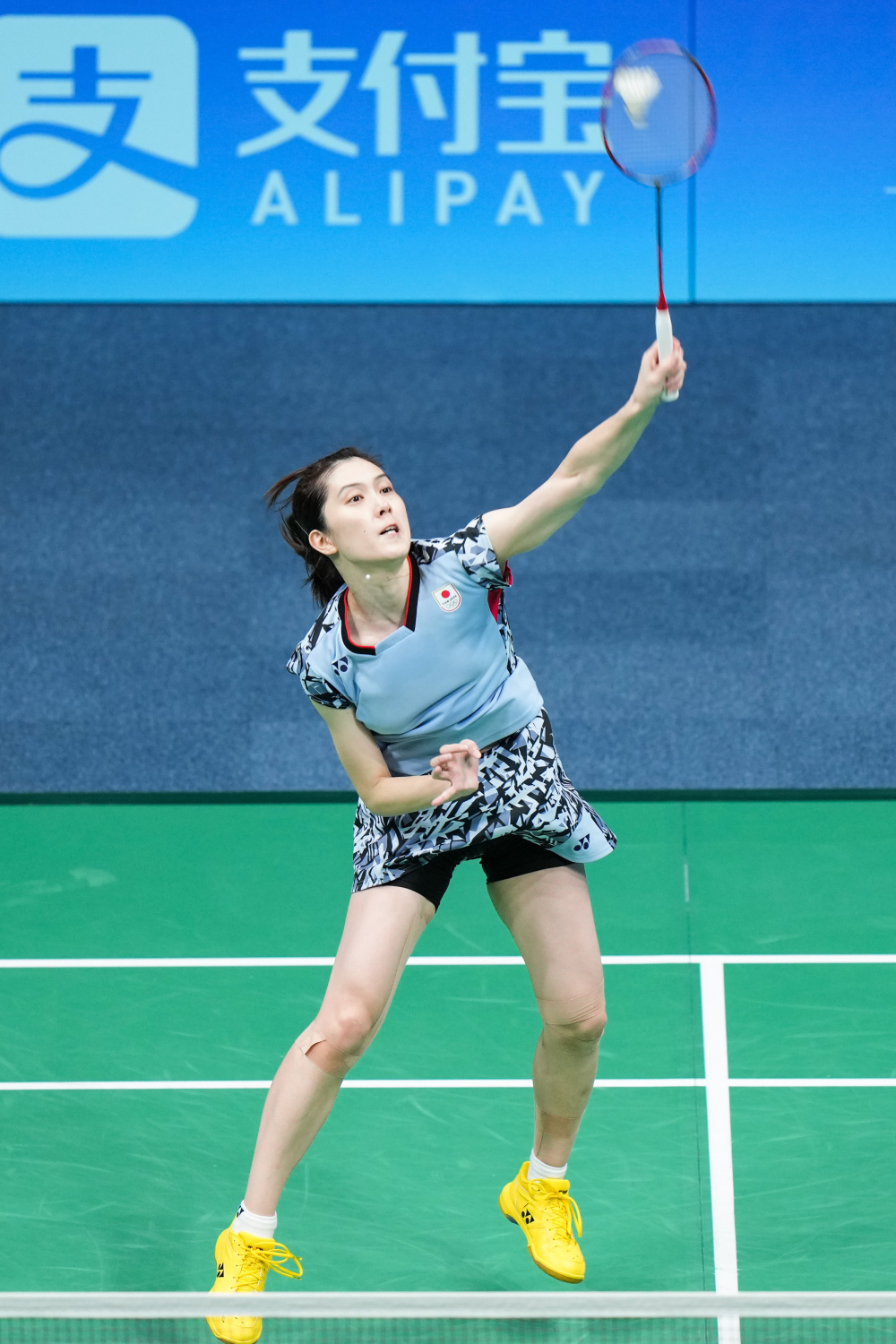 努力的成果 努力的成果